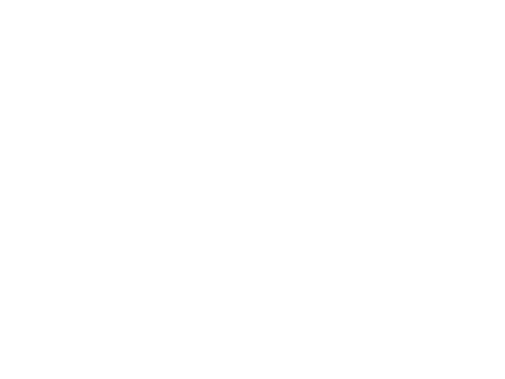 Vibrant Design Co