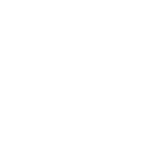 Client Logo: Nelson & Associates LLC